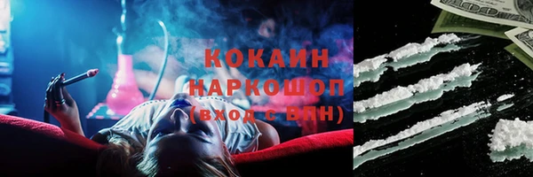 шишки Бородино