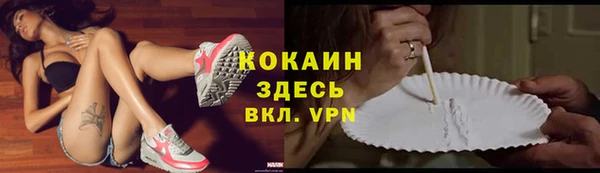 молекула духа Покров