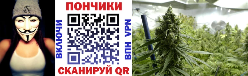 Шишки марихуана Amnesia  дарнет шоп  Черняховск 